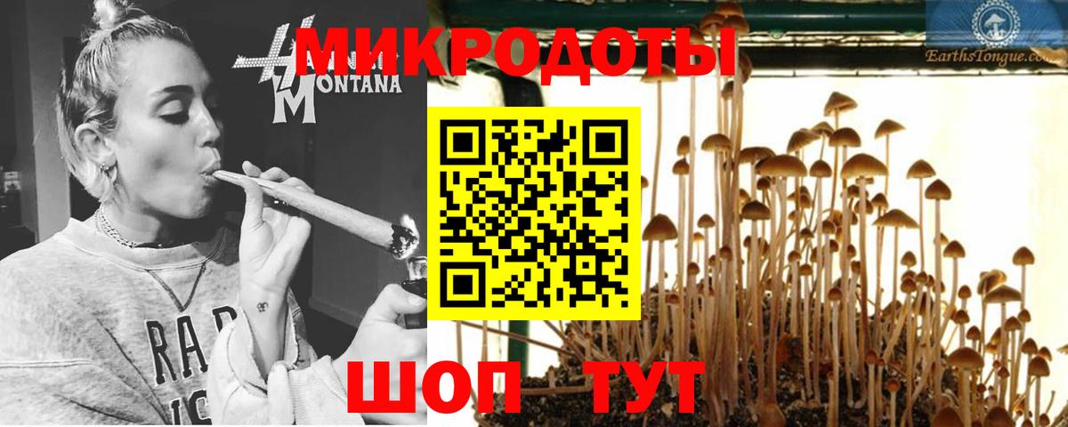 Мурино  Галлюциногенные грибы мицелий  Вход с VPN 